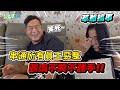 【草爺搞事】老闆暴怒員工績效不佳 員工淚灑辦公室..結局竟... FT.@女生宿舍 合情合理工作室 【含羞草日記】