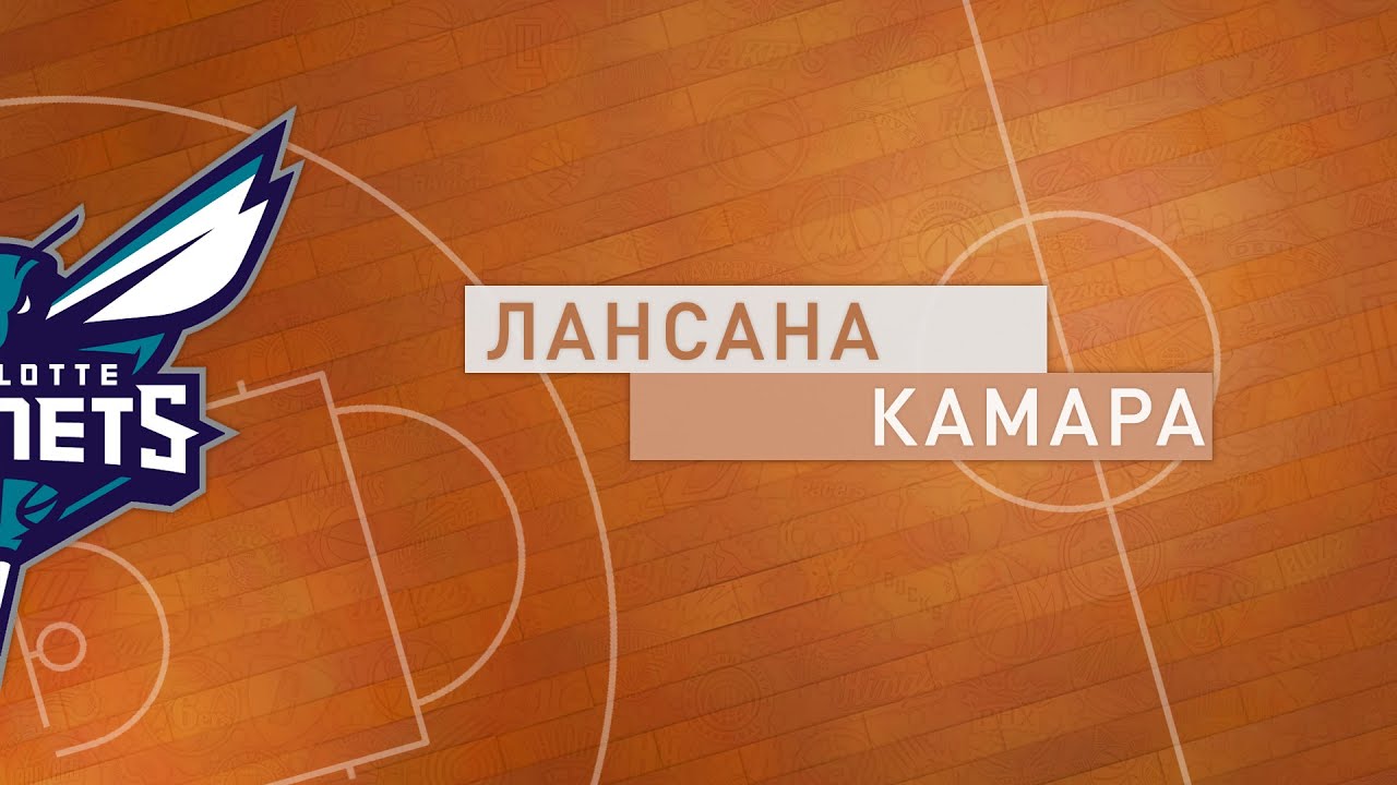 Hornets basketball stars