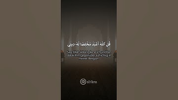 قُلۡ إِنِّيٓ أُمِرۡتُ أَنۡ أَعۡبُدَ ٱللَّهَ مُخۡلِصٗا لَّهُ ٱلدِّينَ | سورة الزمر ١١/١٥
