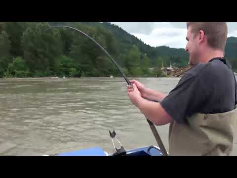 Fraser River Monster Sturgeon - Fishing with Bent Rod 