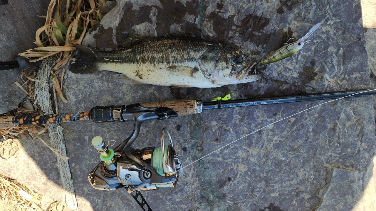 설연휴 마릿수손맛    #배스 #배스루어 #노싱커 #파요펠릿3인치 #섀드크랭크 #함안 #미노우 #원텐 #짭텐 #미드스트롤링 