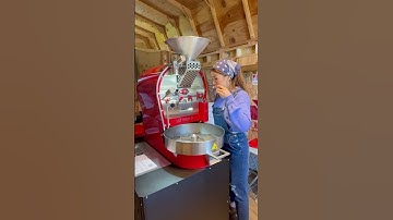 STEP BY STEP COFFEE ROASTING PROCESS STARTING SMALL A LOCAL SMAL BATCH ROAST MASTER  #coffee