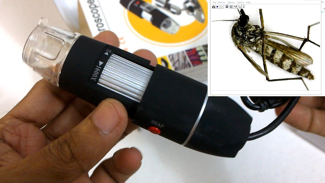 1600x USB Digital Zoom Microscope?