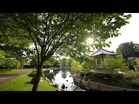 Discover Bloomington: Tour the Japanese Garden at Normandale Community College