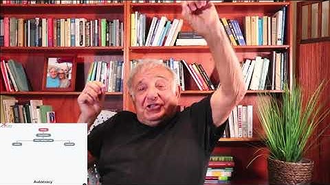 Symbergetic Organizational Therapy - Delivered by Ichak Adizes