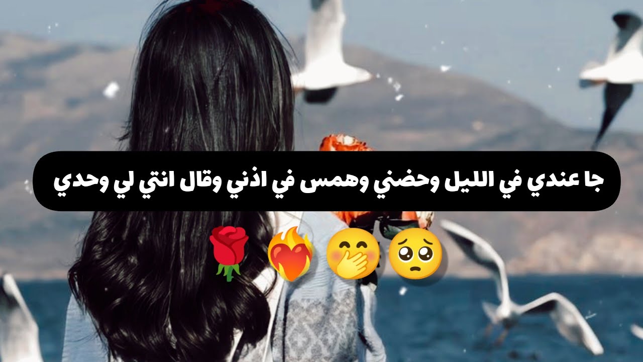 قصة || #1 اتزوجنا زواج اجباري والي صار بينا 🌹❤️‍🔥❤🤭
