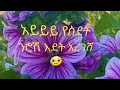 ወይ የዚህ የሙዚቃ እቴዋ የስደት ንሮሽ በዛብህ አሰፋ Ethiopia Music