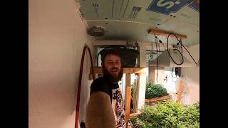 Jilly Bean, Lemon Pie, Pest Management Spray, end of veg update