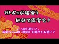 【宝塚鑑賞会】ガートボニート〜猫祭り編〜