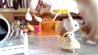 シルバニアファミリーのお話きれい！ミラクル万華鏡キットBOOKで遊んでみた！