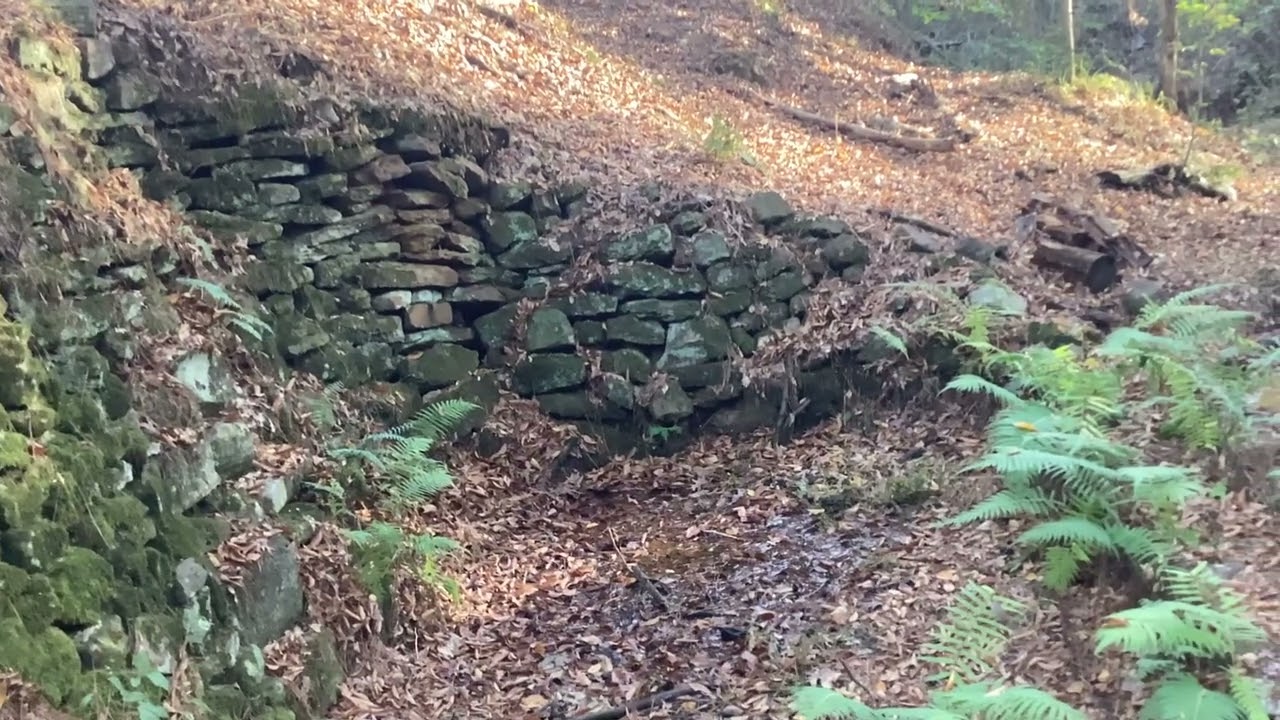 Hidden Gems in the national forest in Texas