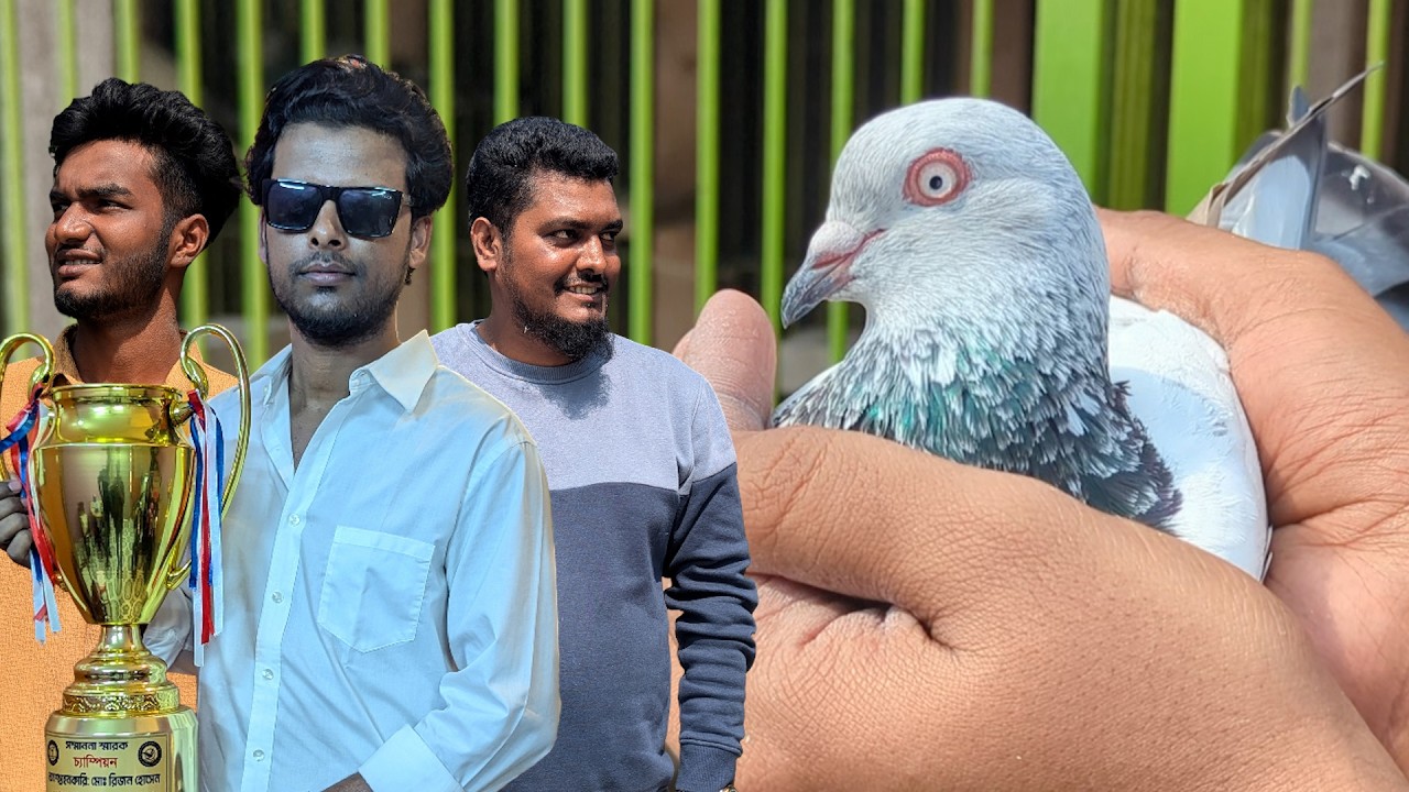 Munshiganj Number One Loft e Sera Kobutor Gulor Darun Showcase