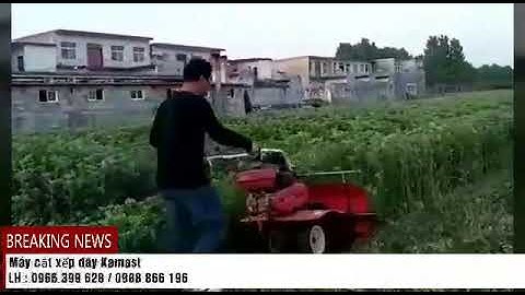 Máy cắt cỏ voi LH 0966399628/ 0988866196