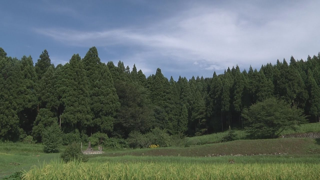 聴覚障害者ドキュメンタリー番組　つつうらうら　能登就労支援事業所（就労継続支援b型）　やなぎだハウス