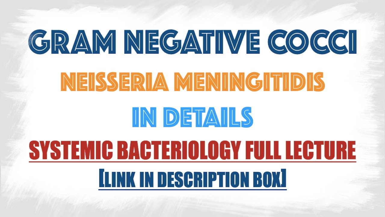 Neisseria Meningitidis (Meningococci) : Virulence Factors,Clinical Manifestations, Lab Diagnosis