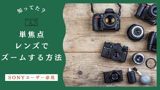 【SONYユーザー必見】意外と知られていない、単焦点レンズでもズーム撮影をする方法