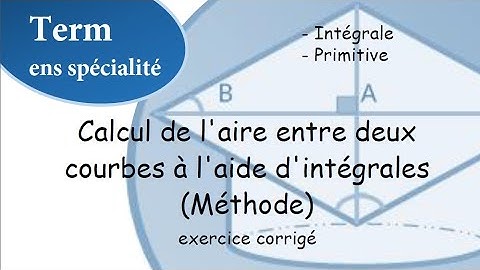 Calcul de l’aire entre deux courbes à l’aide d’intégrale f(x)-g(x) - niveau terminale