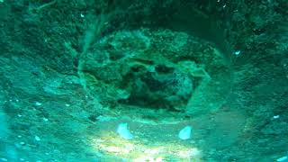 Ship Transducer cleaning (before)