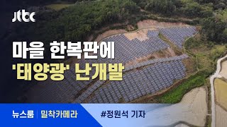 [밀착카메라] 마을 한복판 '태양광 숲'…환경 해치는 친환경 발전 / JTBC 뉴스룸