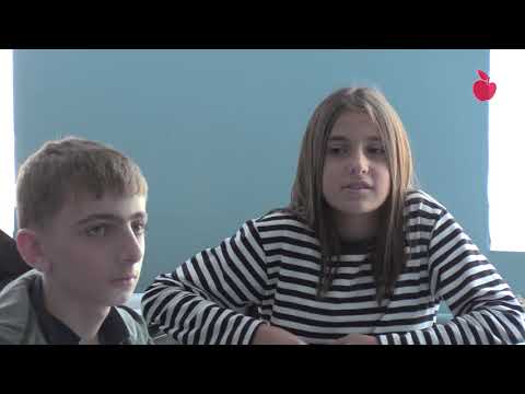 ამერიკის უნივერსიტეტის სკოლა გორში