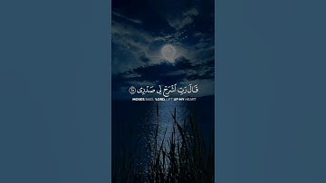 قال ربي آشرح لي صدري و يسر لي أمري #القرآن_الكريم #راحة_نفسية #quran #تلاوات #آيات #تجويد