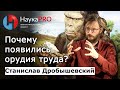 Почему древние люди начали изготавливать орудия труда? – Станислав Дробышевский | Научпоп | НаукаPRO