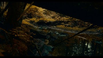 When The Earth Was Green | Panasonic S1H Footage #S1H #Footage #cinematic