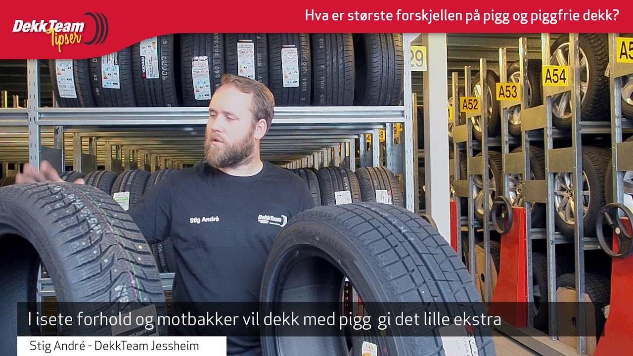 DekkTeam Tipser pigg vs piggfritt