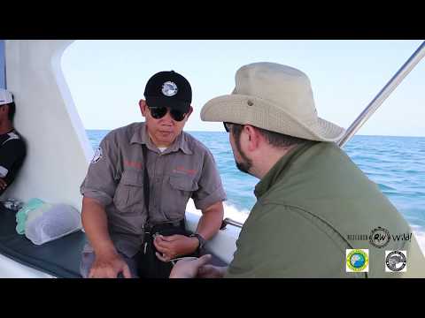 ResearchWild! Javan Rhino Expedition