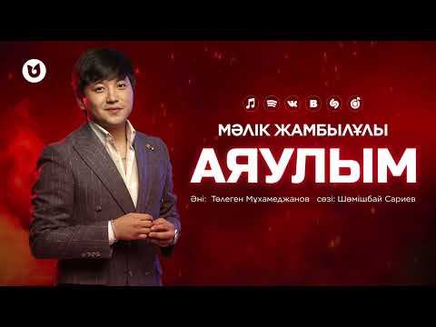 Мәлік Жамбылұлы — Аяулым