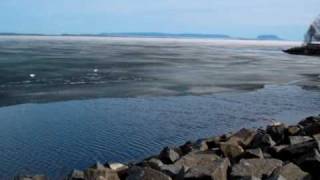 When The Bay Turns Blue - Rodney Brown