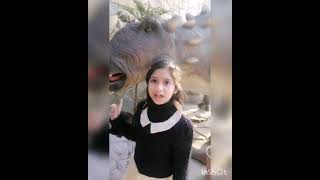 Hashirs Birthday Lamontana Pirsuhawa Dino Valley Kpk