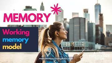 Memory | Working memory model | AQA A-level Psychology