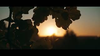 Cinematic Sunset Video Camera Test 4K | Sony Alpha 7IV (Handheld)