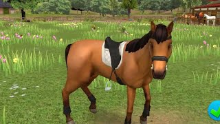horse world show jumping all horse fans games video 07 screenshot 3