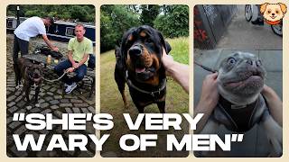 The Dogs We Met In July Compilation | My Best Friend