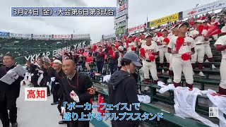 パワフルに華麗に 戻ってきたセンバツ甲子園の応援風景