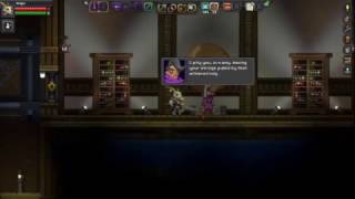 The Grand Pagoda Library all secrets Starbound