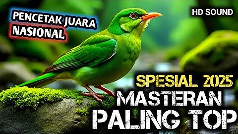 TERAPI UNTUK SEMUA JENIS BURUNG , SUARA GEMRICIK AIR, MASTERAN PALING TOP SPESIAL 2025 || SINGO EDAN