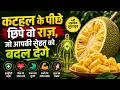 कटहल के पीछे छिपे वो राज़, जो आपकी सेहत को बदल देंगे | Jackfruit: Benefits and disadvantage.