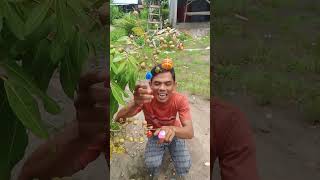 aku nak yang ini boleh #shorts #trending #funny #subscribe