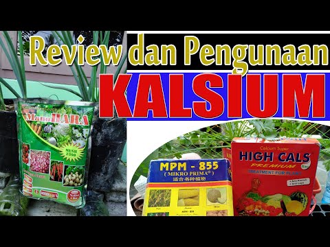 Review PUPUK Kalsium dan Cara Penggunaanya, Cegah Rontok dan Jamur