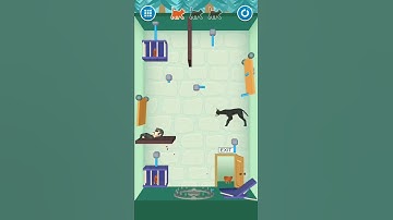 Rescue cat level. 40 gameplay #shorts #youtube #viral