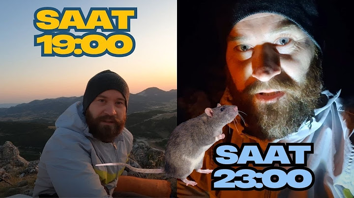 ZİRVEDE FARE VE BÖCEKLERLE KAMP