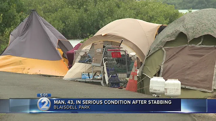 Stabbing near Blaisdell Park triggers concerns ove...