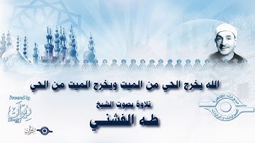 الله يخرج الحي من الميت ويخرج الميت من الحي - تلاوة من سورة يونس للشيخ طه الفشني