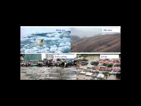 SINH HỌC - LỚP 9 - CHỦ ĐỀ CON NGƯỜI VÀ MÔI TRƯỜNG - CÔ NGÔ THỊ NGỌC ÁNH