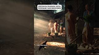 Nostalgia Suasana Jadul Pedesaan Yang Bikin Rindu shorts