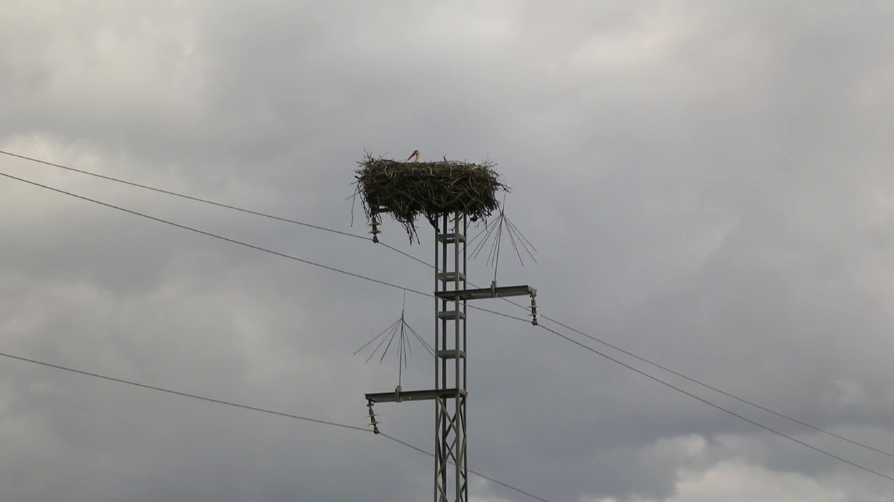 La boira dels records - 2012 Maig