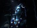 OM namah shivaya